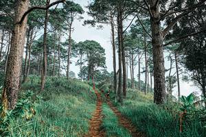 BIB: 
                            <button type="button" onclick="openModal(25652316)" class="btn btn-primary btn-sm float-right btn-popup" data-toggle="modal" data-target=".modal-high-quality">
                        <i class="fas fa-shopping-cart"></i> Add to Cart
                    </button>
                                            <button type="button" onclick="isThisMe(25652316, true)" class="btn btn-success btn-sm float-right btn-popup btn-isme hidden" data-toggle="tooltip" data-placement="bottom" title="นี่คือรูปของคุณใช่ไหม คลิกที่นี่เพื่อเอาเข้าอัลบั้ม">
                        <i class="fas fa-plus"></i> Add to album
                    </button>
                    <button type="button" onclick="isThisMe(25652316, false)" class="btn btn-warning btn-sm float-right btn-popup btn-isnotme hidden">
                        <i class="fas fa-ban"></i> Remove from album
                    </button>